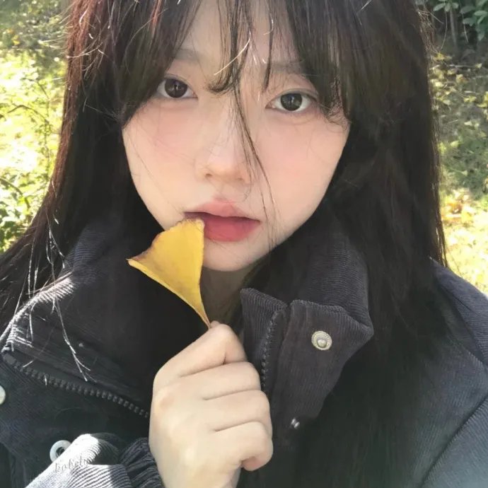 银杏床