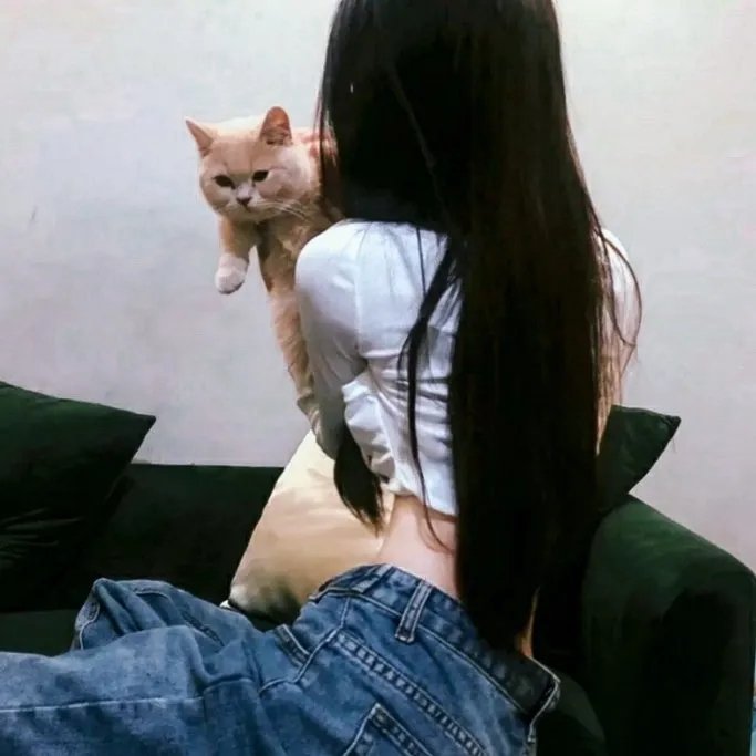 杀手老婆的保镳